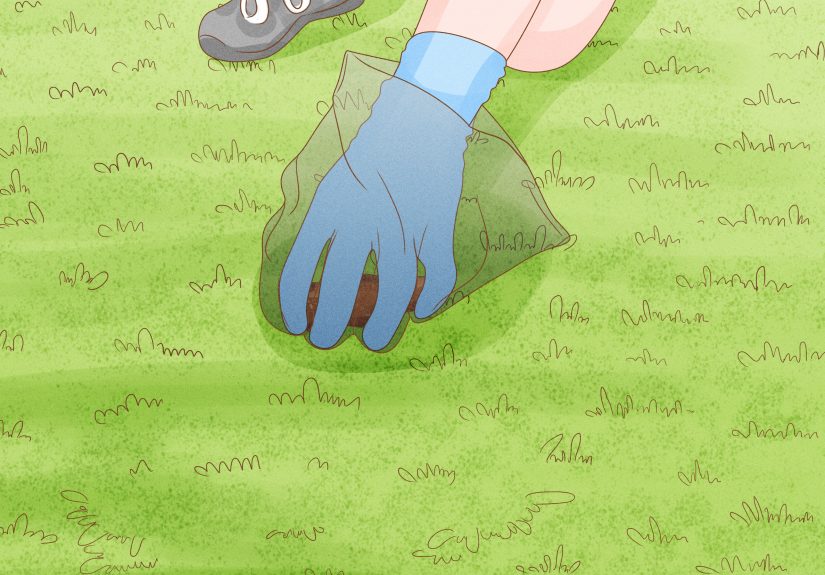 How to Grow Grass in High-Traffic Dog Areas