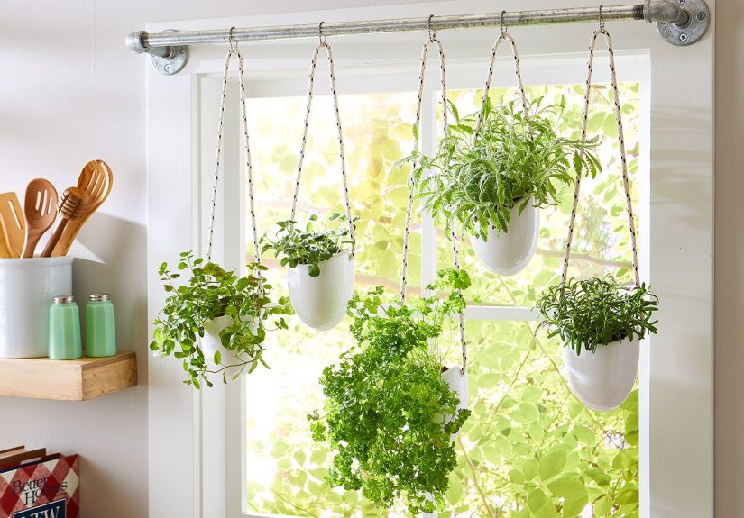 How to Grow Herbs Indoors Year-Round