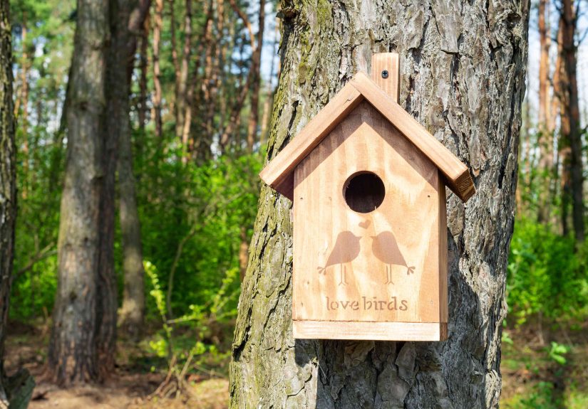 How to Hang a Birdhouse and Mount a Nesting Box
