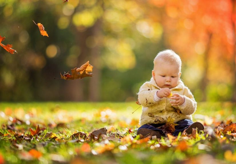 November Baby Facts - Facts About November Babies