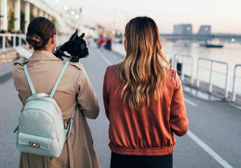 Nulliparous: Definition, Reproductive Cancer Risk, and More