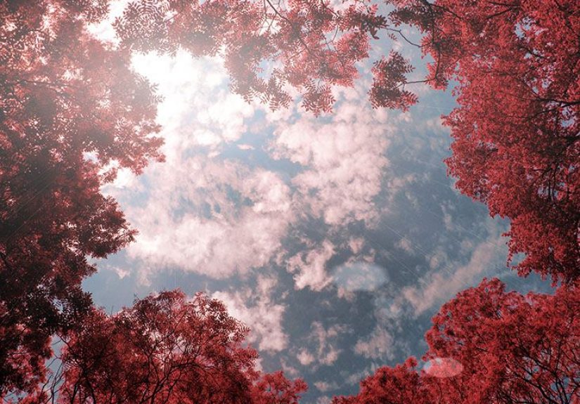 Papulopustular rosacea: Pictures, treatments, and more