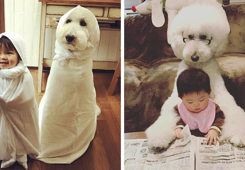 This Little Japanese Girl And Her Pet Poodle Will Make Your Day