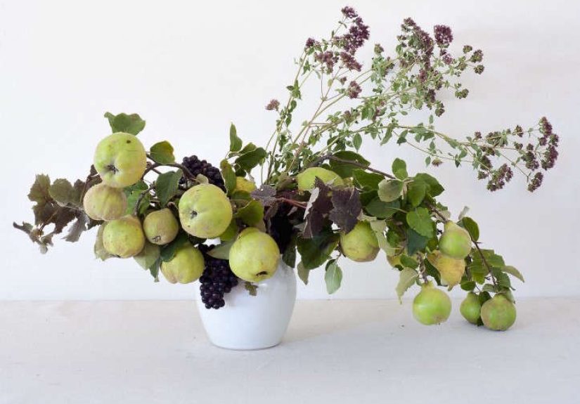 Trending on Gardenista: Tendrils and Vines