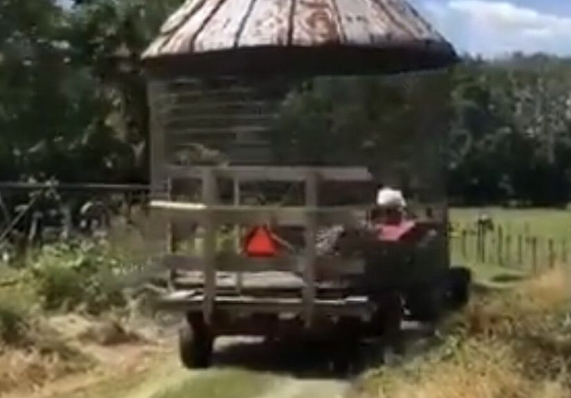 Turning a CORN CRIB Into a GAZEBO