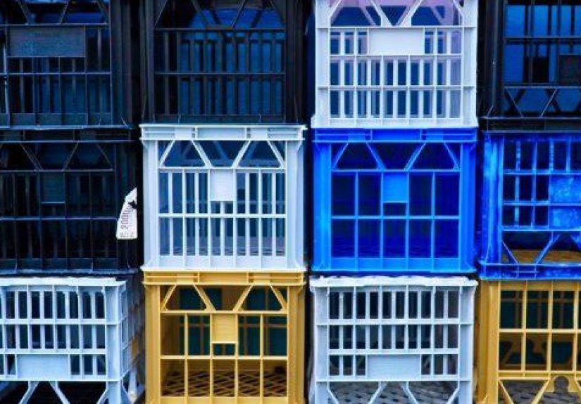 10 Deadly TikTok Challenges That Spread Like Wildfire