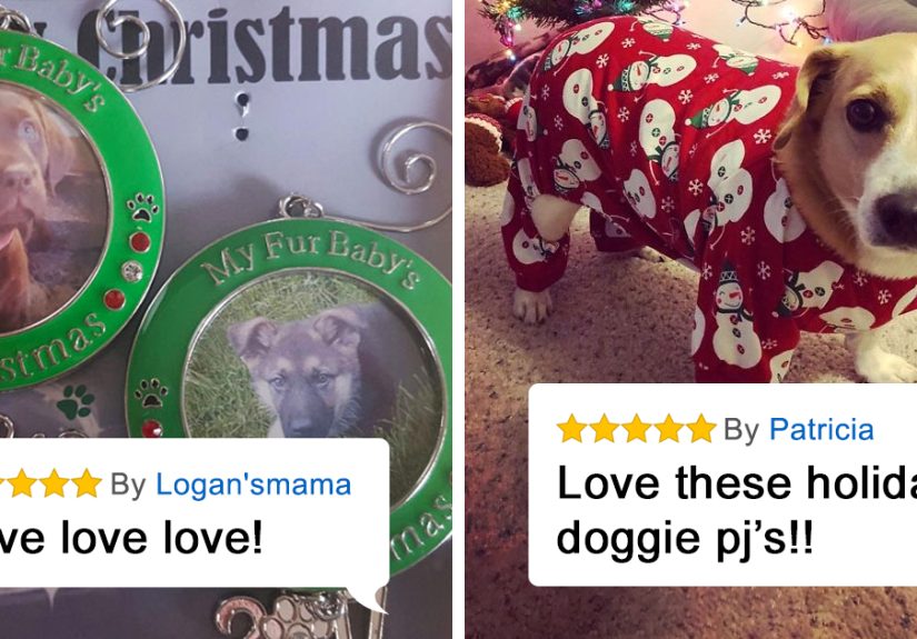 29 Things From Amazon To Help You And Your Pet Get In The Holiday Spirit