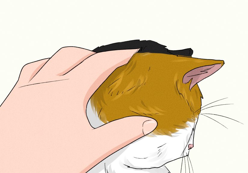 3 Simple Ways to Stop an Older Cat from Attacking a Kitten