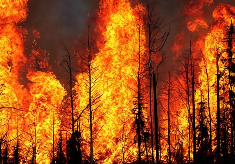 3 Tips for Clients With Wildfire Claims - IA Magazine