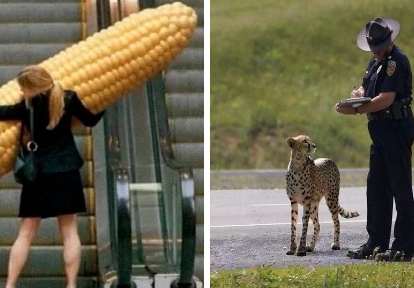 30 Funny And Confusing Pics Posted By The “Images That Require More Context” Twitter Page