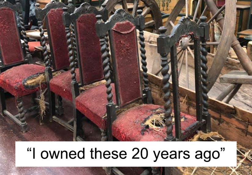 30 Times People Couldn’t Believe Their Luck In Thrift Stores