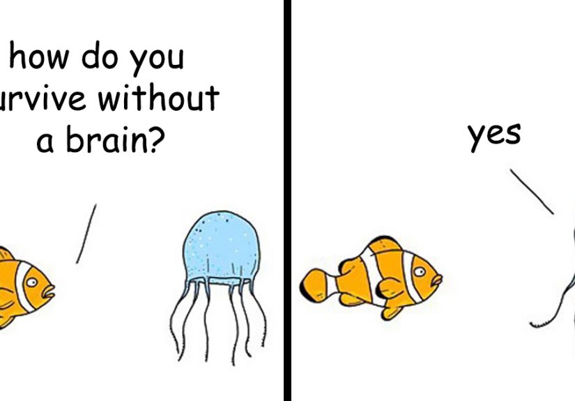 40 Comics Reveal What Animals Would Say If They Could Talk