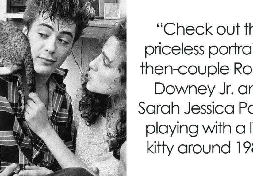 50 Vintage Cat Photos Featuring Celebrities, Historical Moments, And Pure Feline Magic