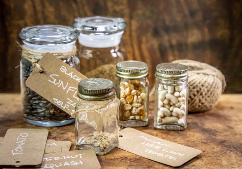 6 Ways to Store Leftover Seeds Before Winter Hits for a Beautiful Spring Garden