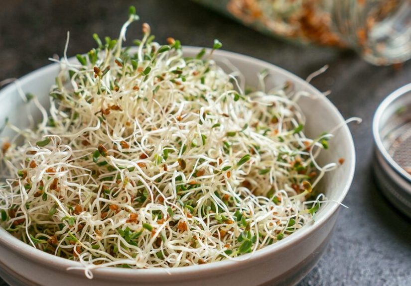 Alfalfa: Benefits, Nutrition Facts & Side Effects