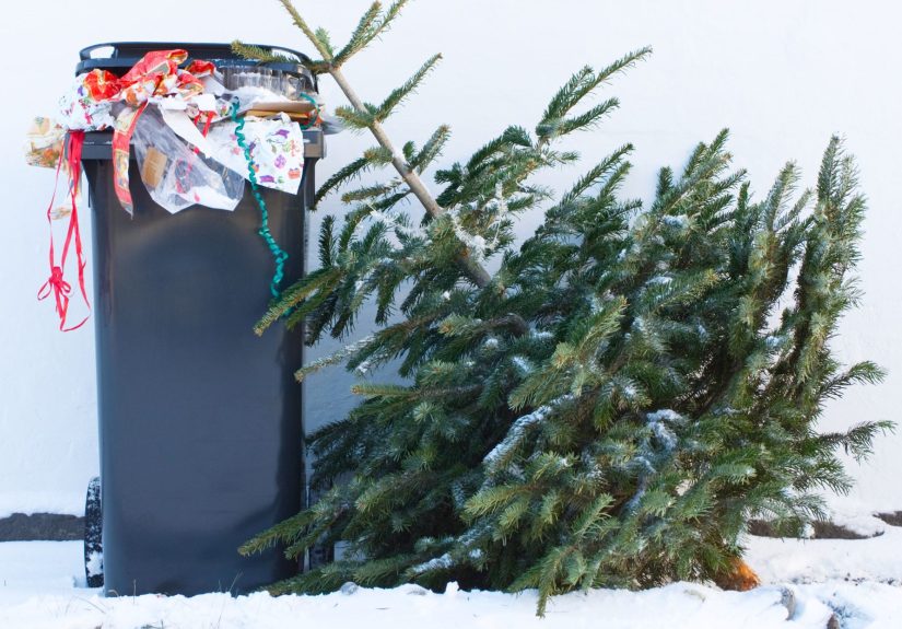 Don’t Take Down Your Christmas Tree Until January 6Here’s Why
