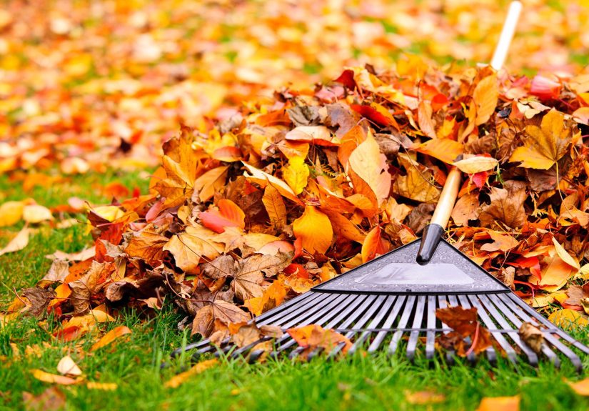 Follow This Fall Garden Checklist to Prep Your Yard for Winter