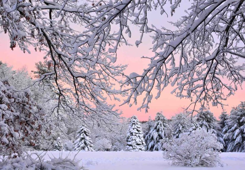 Get Ready for Some Wild Winter Weather Swings, the Farmers’ Almanac Warns