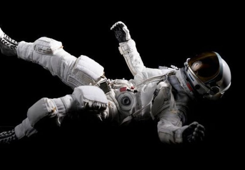 Growing Plants in Space - Duckweed