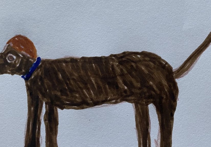 Hey Pandas, Draw A Dog With Your Non-Dominant Hand