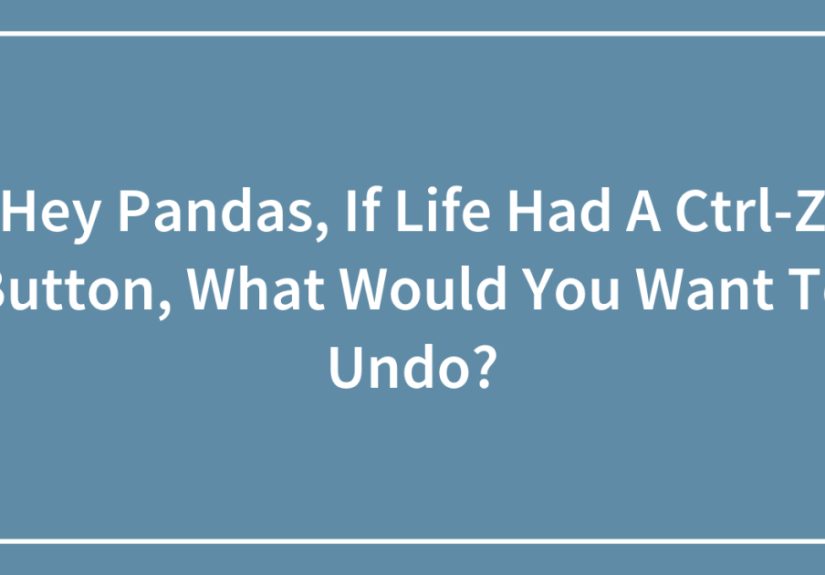 Hey Pandas, If Life Had A Ctrl-Z Button, What Would You Want To Undo?