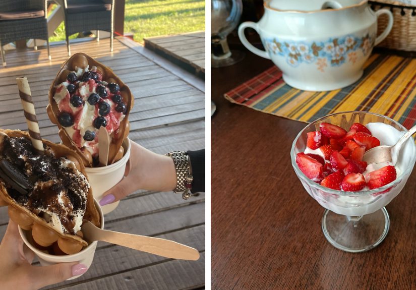 Hey Pandas, July Is A National Ice Cream Month, So Share Your Best Pictures Of Ice Cream (Closed)