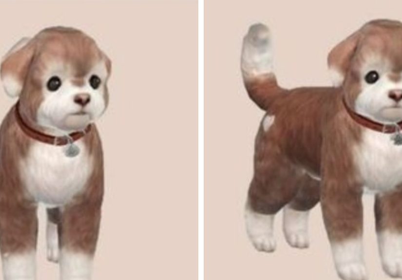 Hey Pandas, Post Something That Will Make Everyone’s Day Better