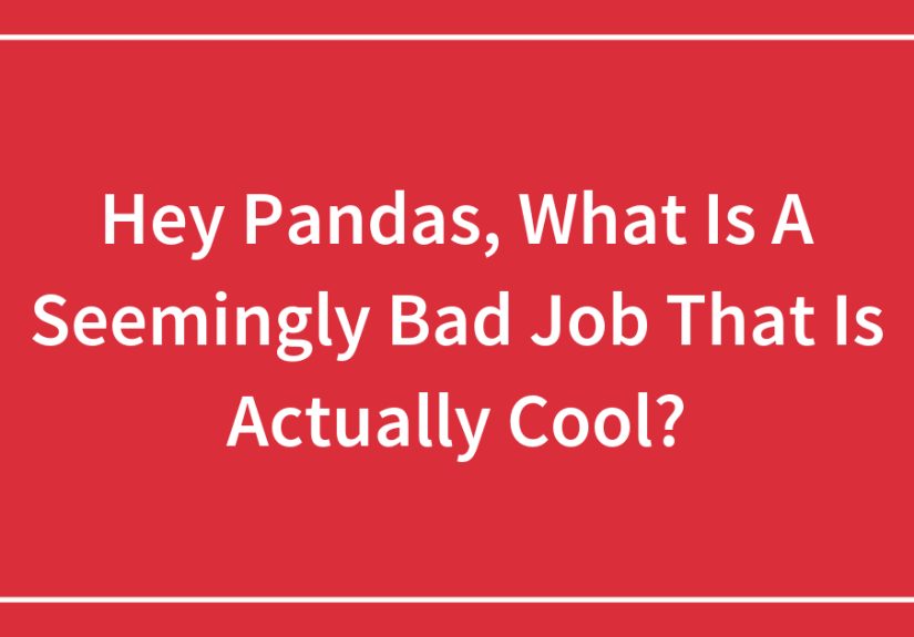 Hey Pandas, What Is A Seemingly Bad Job That Is Actually Cool?