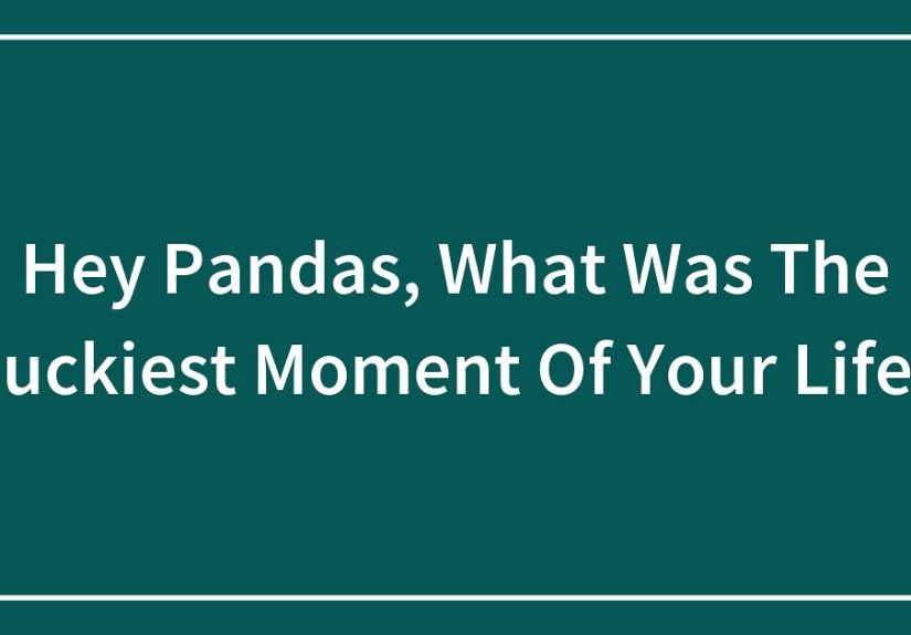 Hey Pandas, What Was The Luckiest Moment Of Your Life?