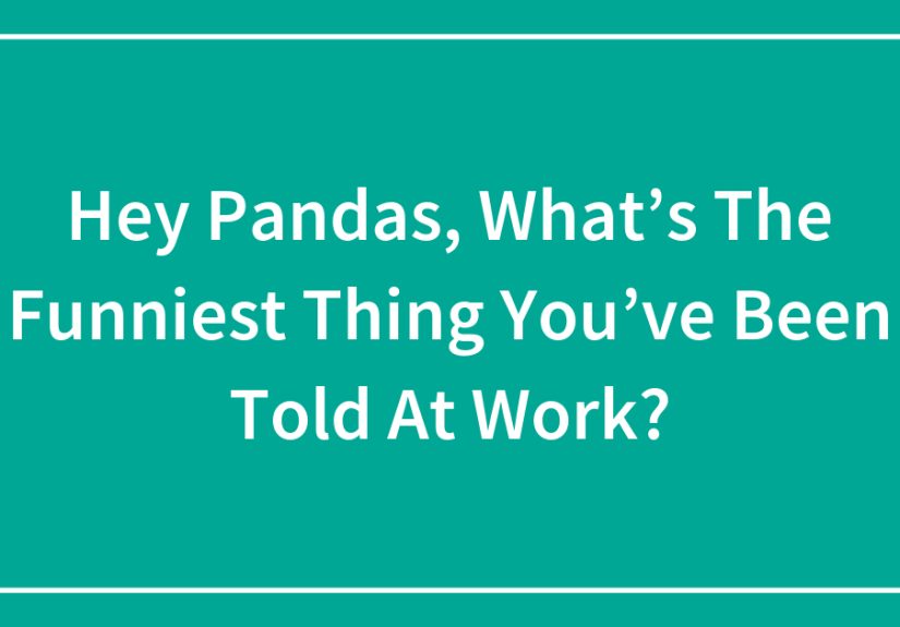 Hey Pandas, What’s The Funniest Thing You’ve Been Told At Work?