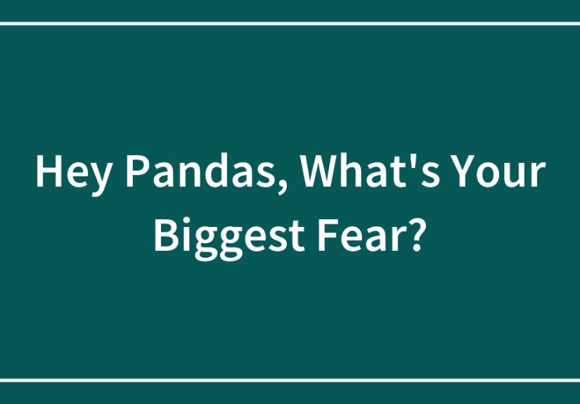 Hey Pandas, What’s Your Biggest Fear?
