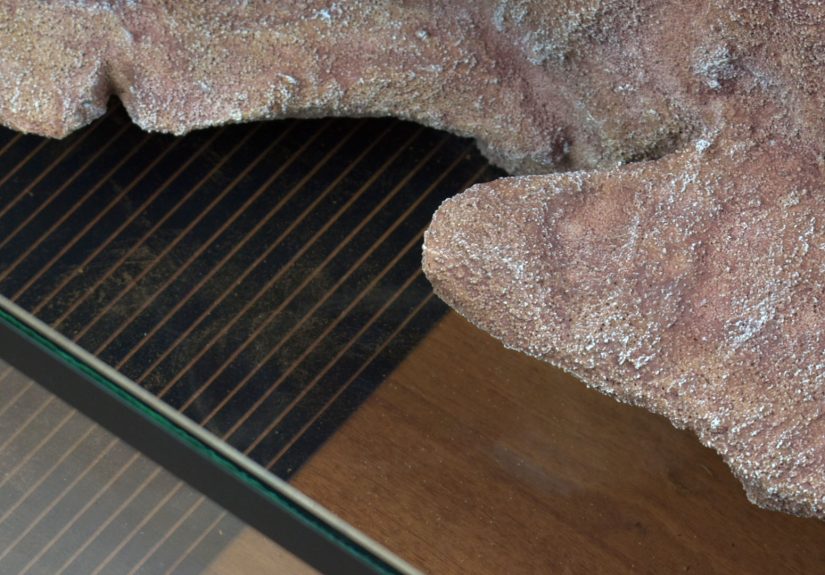 How to Create a Habitat for a Leopard Gecko: 9 Steps