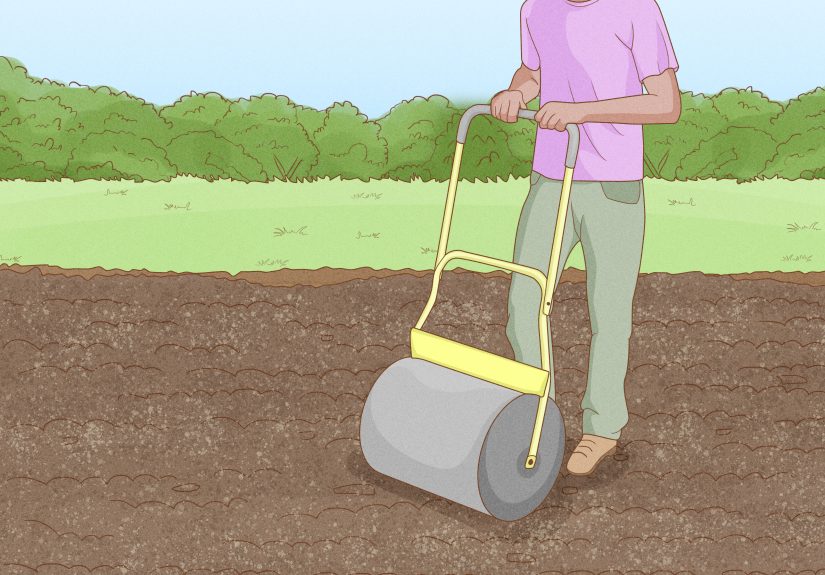 How to Dry Out Dirt: Remove Moisture from Soil