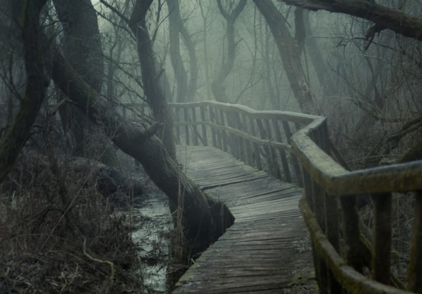 I Found A Chilling Path That Looked Like A Trail To Mordor (20 Pics)