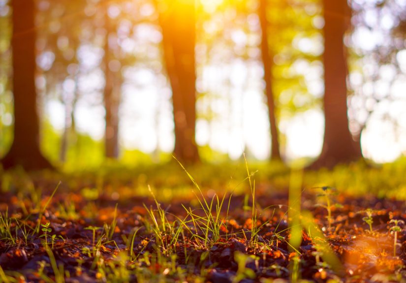 Life can be meaningful even in the midst of residency