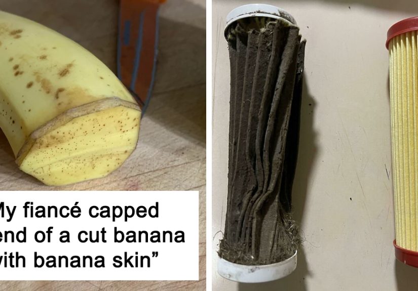 ‘Mildly Interesting’: An Online Group Exploring The Weird And Wonderful Side Of Everyday Life (50 New Pics)