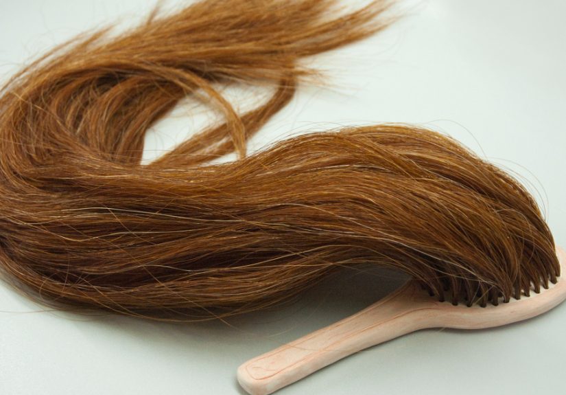 My Room Project Blurs The Boundaries Between Home And Body