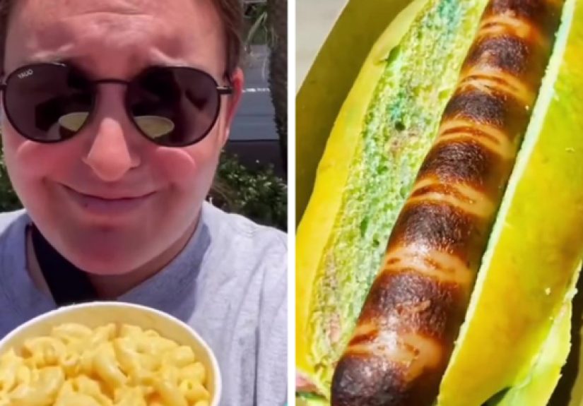 Person Roasts Disneyland Food Fails And Here Are 17 Of Them