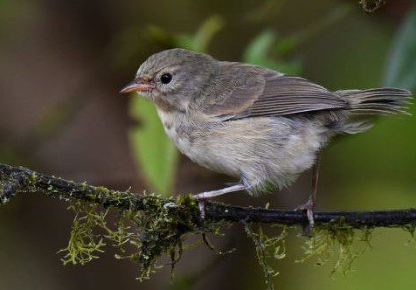 Ten Extremely Famous Quotes You've Been Getting All Wrong