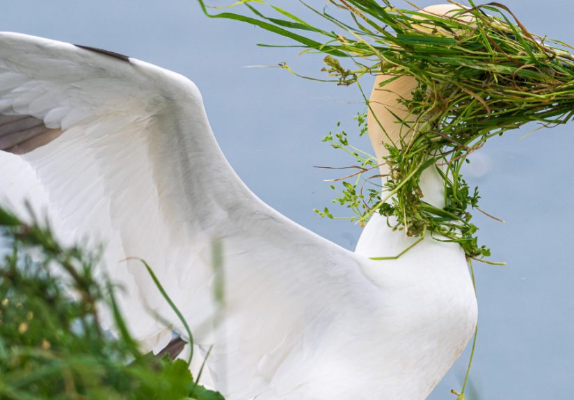 The 2025 Nikon Comedy Wildlife Awards Finalists Are Here And Nature Has Never Been Funnier (40 Pics)