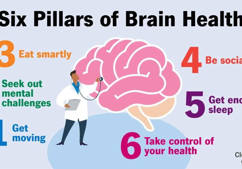 The 6 Pillars of Brain Health