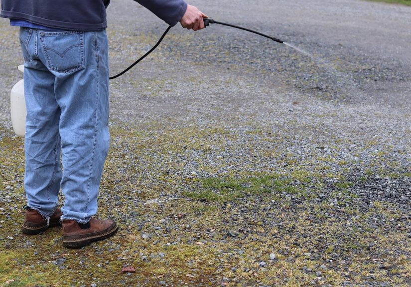 The Best Brush Killers - Picks by Bob Vila