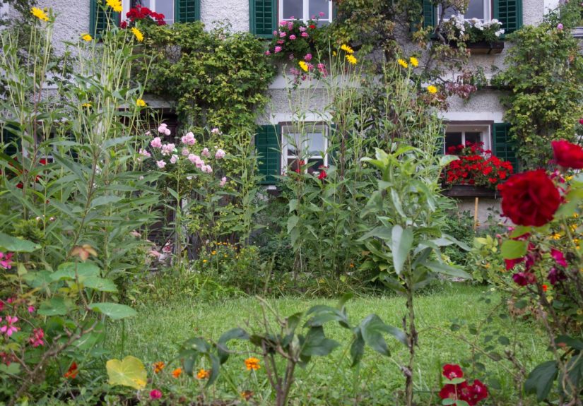 This 2025 Garden Trend Can Improve Your Home Value, According to Experts