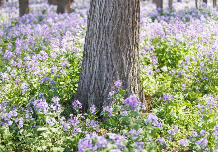 We Asked Gardeners Which Landscaping Trends They HateAnd They Didn't Hold Back