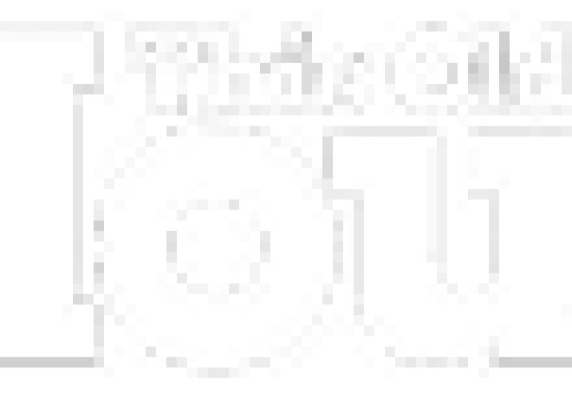 Web Exclusive Series