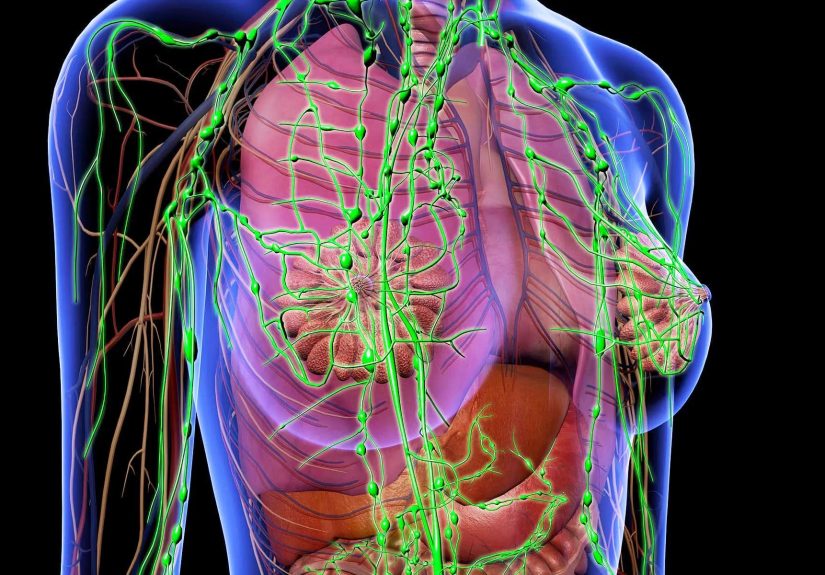 Where Breast Cancer Spreads: Lymph Nodes, Bones, Liver, Lungs, Brain