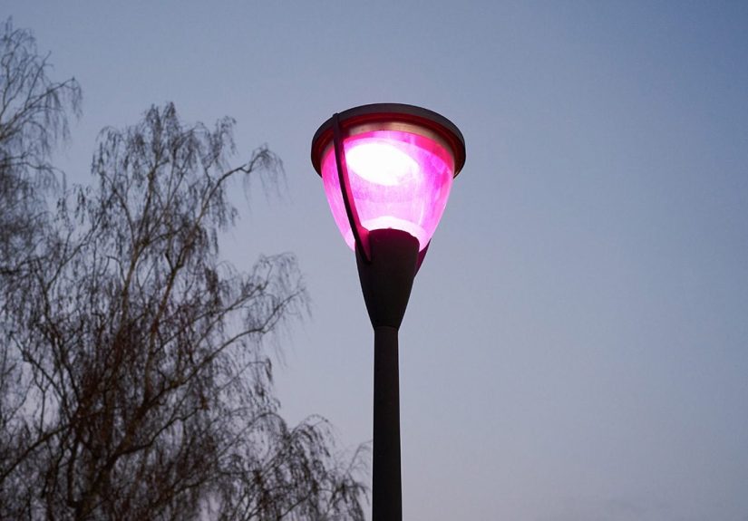 Why A Street Lights Turning Purple? The Surprising Reason