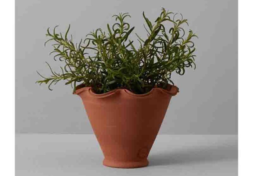 Willow Pottery Terracotta Planter