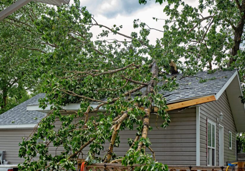 Wind Damage Statistics 2025