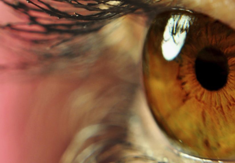 10 Curious Facts Our Eyes Reveal About Our Biology